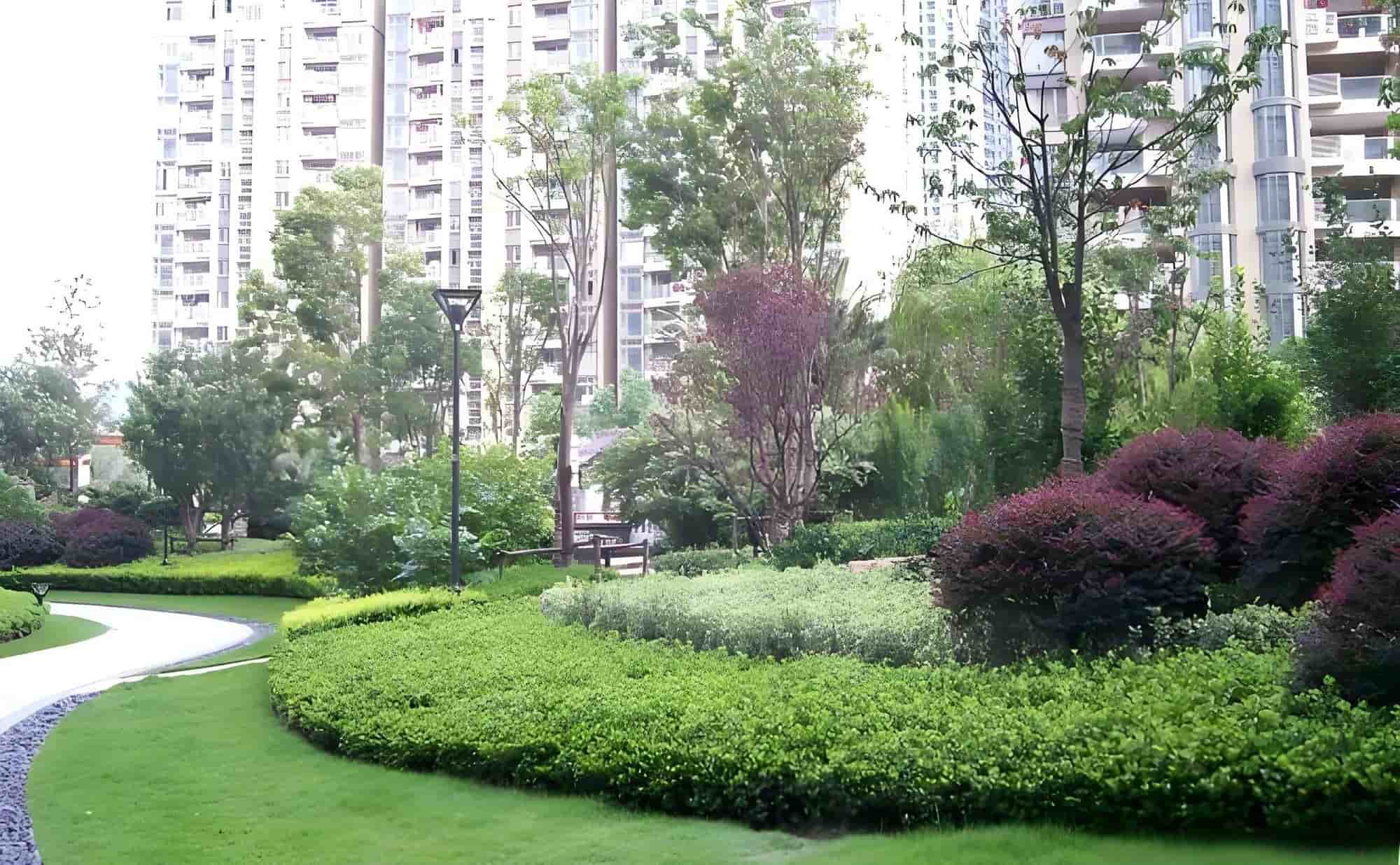 公共区域